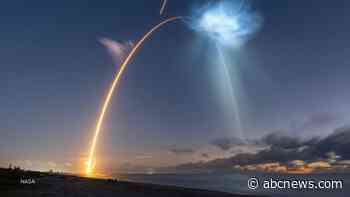 WATCH:  SpaceX launch spawns "jellyfish" cloud in sky before sunrise