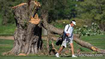'Furious' judge extends order to bar Trump admin from cutting trees at DC golf course