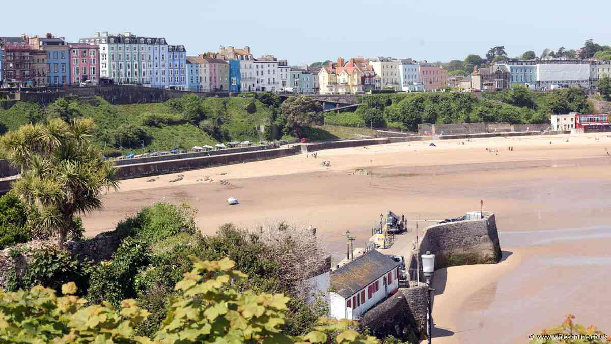 Changes to dog restrictions on Pembrokeshire beaches to be considered