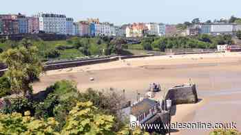 Changes to dog restrictions on Pembrokeshire beaches to be considered