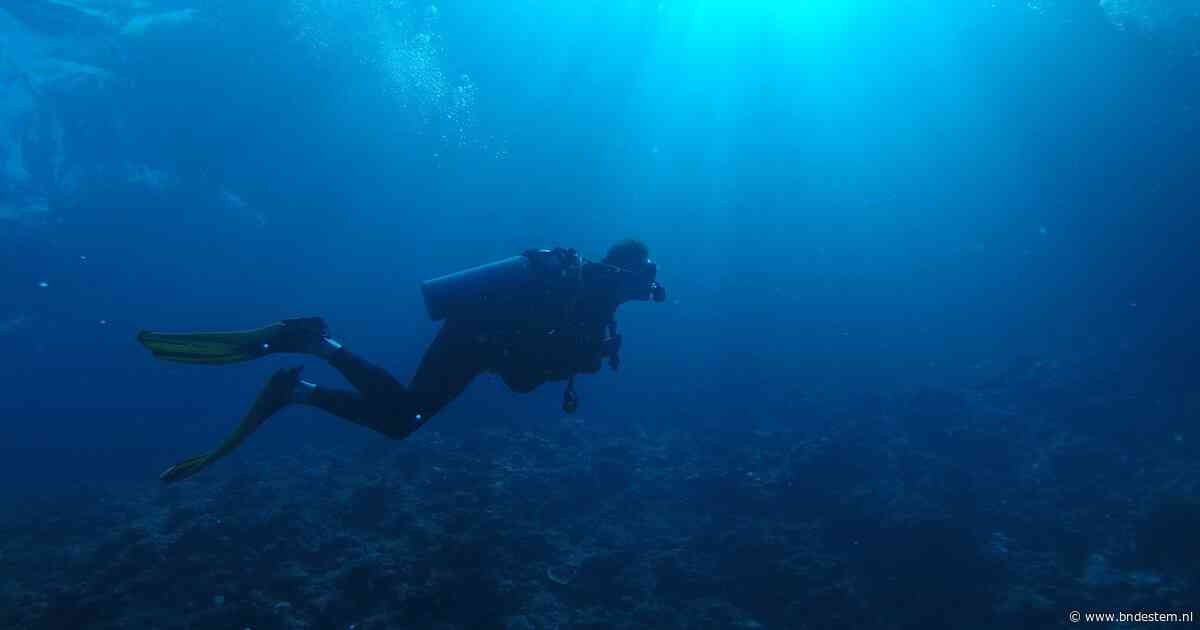 Archeologen ontdekken oudste scheepswrak ooit voor kust van Turkije: tot 4700 jaar oud