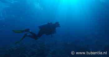 Archeologen ontdekken oudste scheepswrak ooit voor kust van Turkije: tot 4700 jaar oud