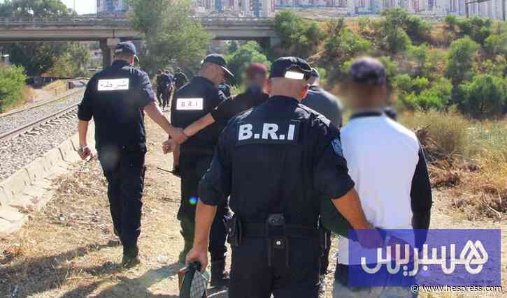 زيتوت: رواية القبض على شبكة مغربية في الجزا&#