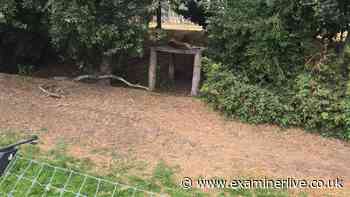 I walked past killer tiger's fence at Yorkshire Wildlife Park - 1 thing makes no sense