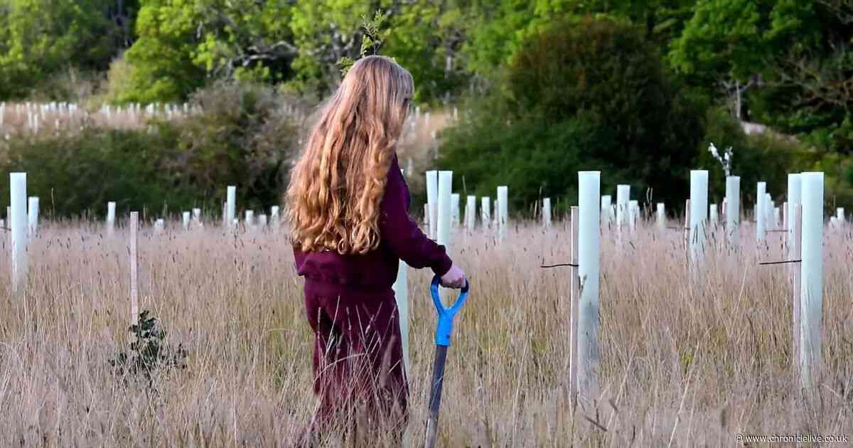 Families enjoy first look at new County Durham woodland created for local community