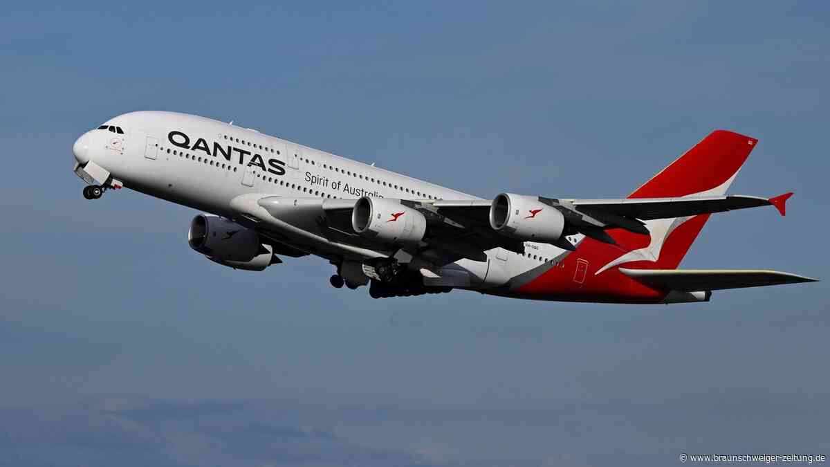 Bettwanzen im Flieger, Hotel und Koffer: Was Reisende gegen die Plage tun können