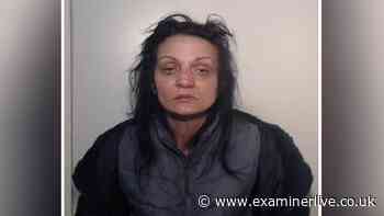 Thief who hugged pensioner before throwing her to ground and stealing £300 jailed