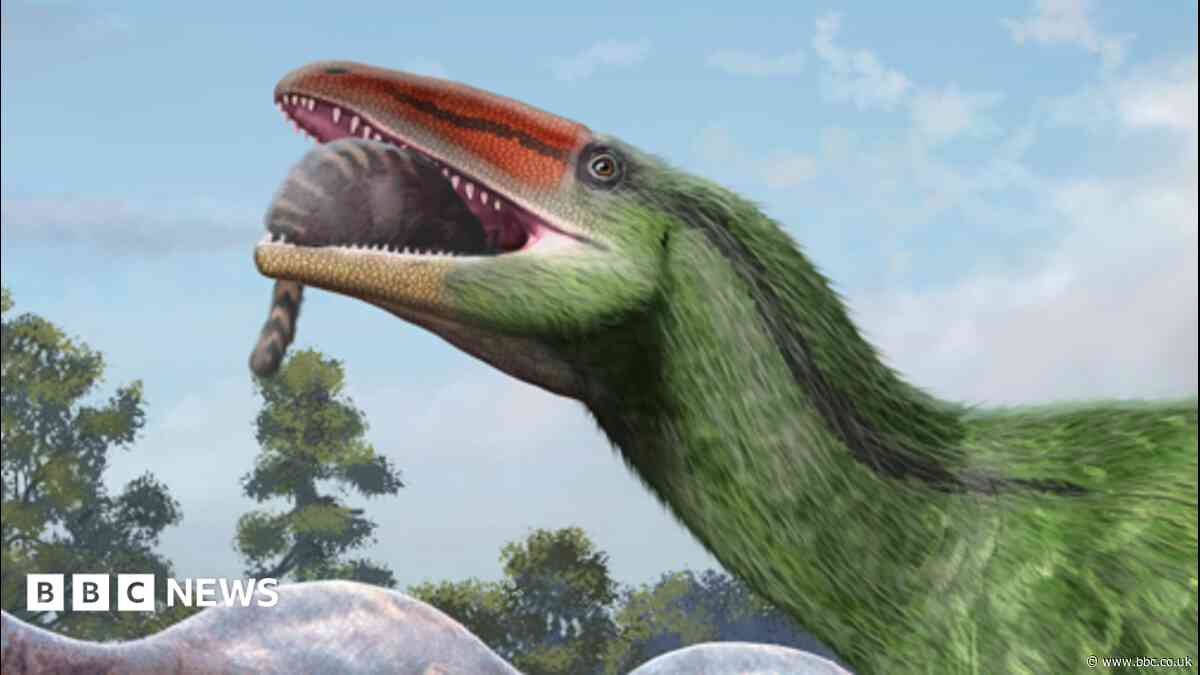 Island fossil identified as new dinosaur species
