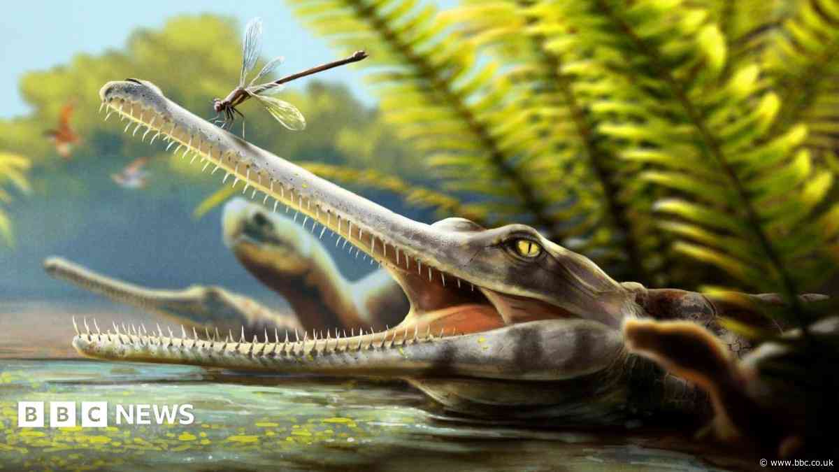 Scientists discover new ancient crocodile relative