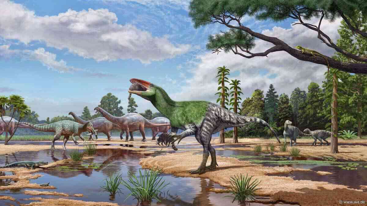 Winziger Verwandter des T-Rex entdeckt: Fossil lag ein Jahrhundert lang in einer Schublade