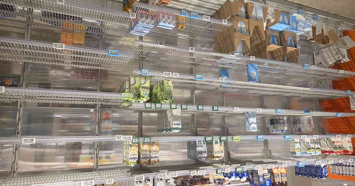 Cyberincident kost Albert Heijn zeker 10 miljoen euro, schatten experts