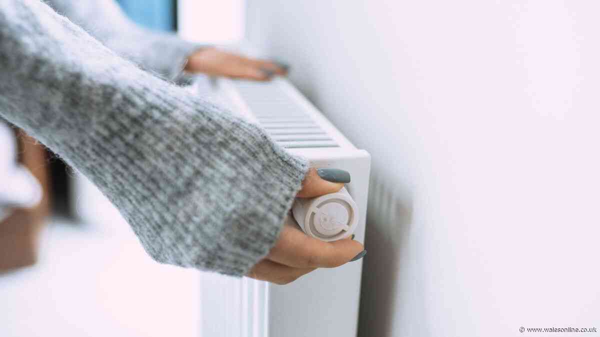 'Simple' heating check to make now as frosty mornings forecast