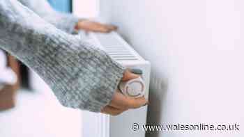 'Simple' heating check to make now as frosty mornings forecast