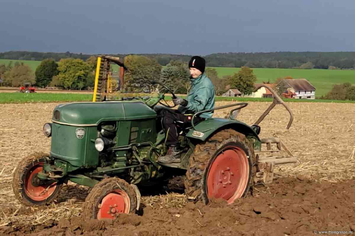 Oldtimer-Ackern in Niederalbertsdorf: Alte Traktoren zeigen, was noch in ihnen steckt