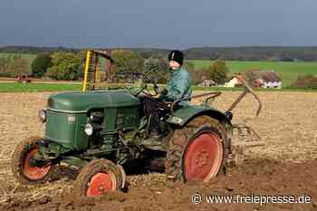 Oldtimer-Ackern in Niederalbertsdorf: Alte Traktoren zeigen, was noch in ihnen steckt