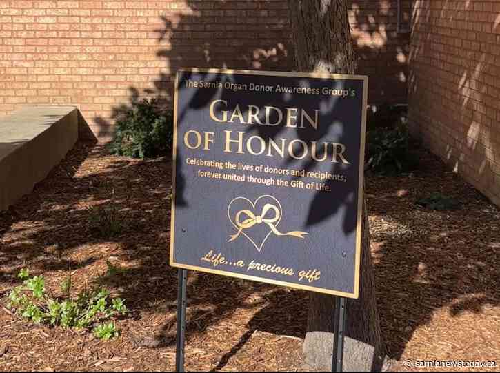 SODA and Bluewater Health celebrate organ donors with new Garden of Honour