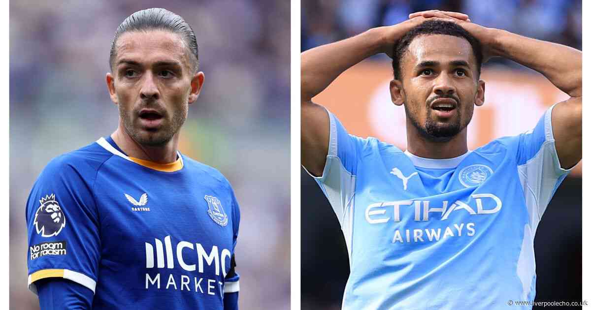 'Everton fans would be very unhappy' - Football finance expert makes Manchester City claim