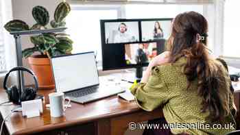 Your legal rights to work from home as Government plans new rules