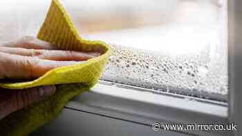 'Keep condensation away' with woman's simple 62p item window hack