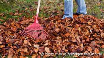 Den Garten winterfest machen: Sieben Arbeiten, die im Oktober anfallen