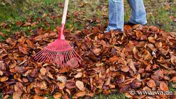 Den Garten winterfest machen: Sieben Arbeiten, die im Oktober anfallen