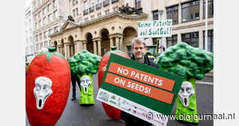 No Patents on Seeds! vraagt EOB om betere aanpak van zaadoctrooien