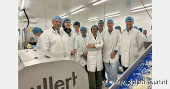 De Lochting en Curando investeren in verwerking biologische groenten