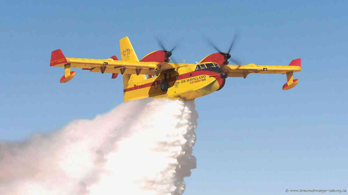 Im Kampf gegen Feuerstürme und Waldbrände: EU setzt jetzt auf Wasserbomber
