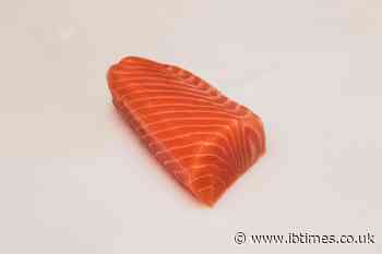 3D-Printed Salmon Is Hitting US Supermarkets but Shoppers May Not See '3D-Printed' Anywhere on the Label