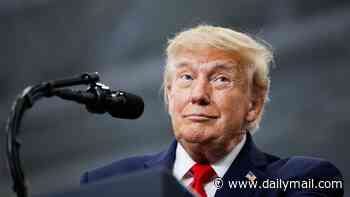 'Tasteless' Trump blasted for sharing video of fatal tiger attack in the UK with bizarre AI follow up showing him chasing the animal