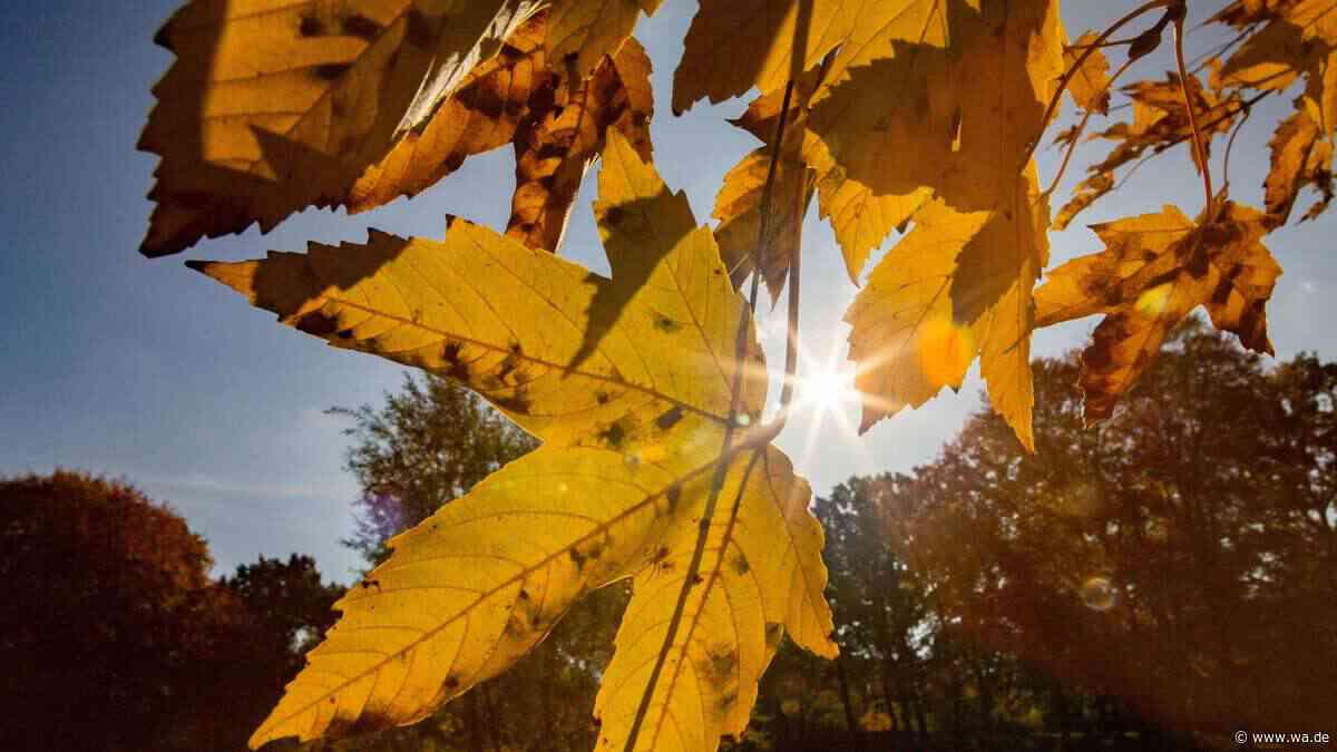 NRW steht „goldenes Oktoberwetter“ bevor – doch es gibt einen Haken