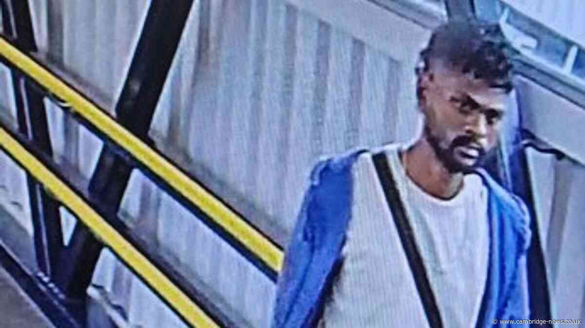 Woman 'repeatedly sexually assaulted' on train as police seek man in connection