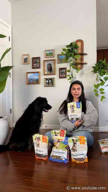 Dog Outsmarts His Birthday Piñata For The Best Reason | The Dodo