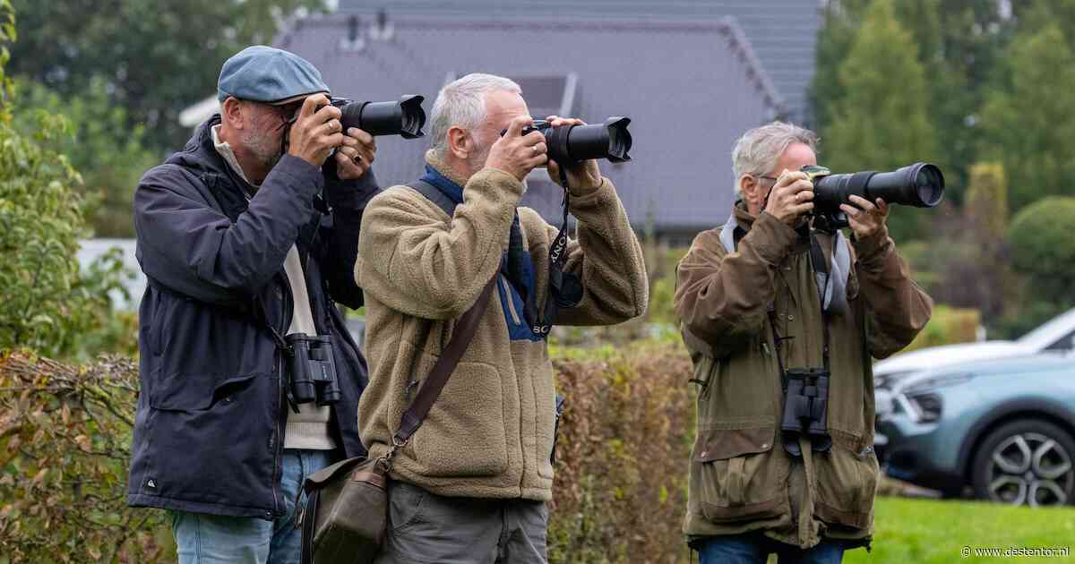 Een zeldzaam vogeltje landt op een heg, en ineens lopen tientallen vreemden met camera’s rond je huis