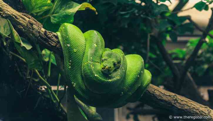 Python 3.15 goes global with UTF-8 support