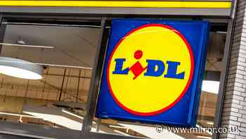 Lidl 'less-than-1p-per-hour' gadget like £49 Screwfix and £105 Tesco item - out Thursday