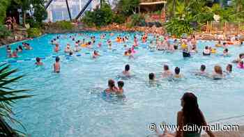 A half-term Center Parcs break isn't the middle-class flex you think it is... despite what Mumsnet says: Smug, gurning berks on hired bikes. Ghastly themed restaurants. And hours of forced family fun. Inside my THREE holidays at the pine-filled purgatory