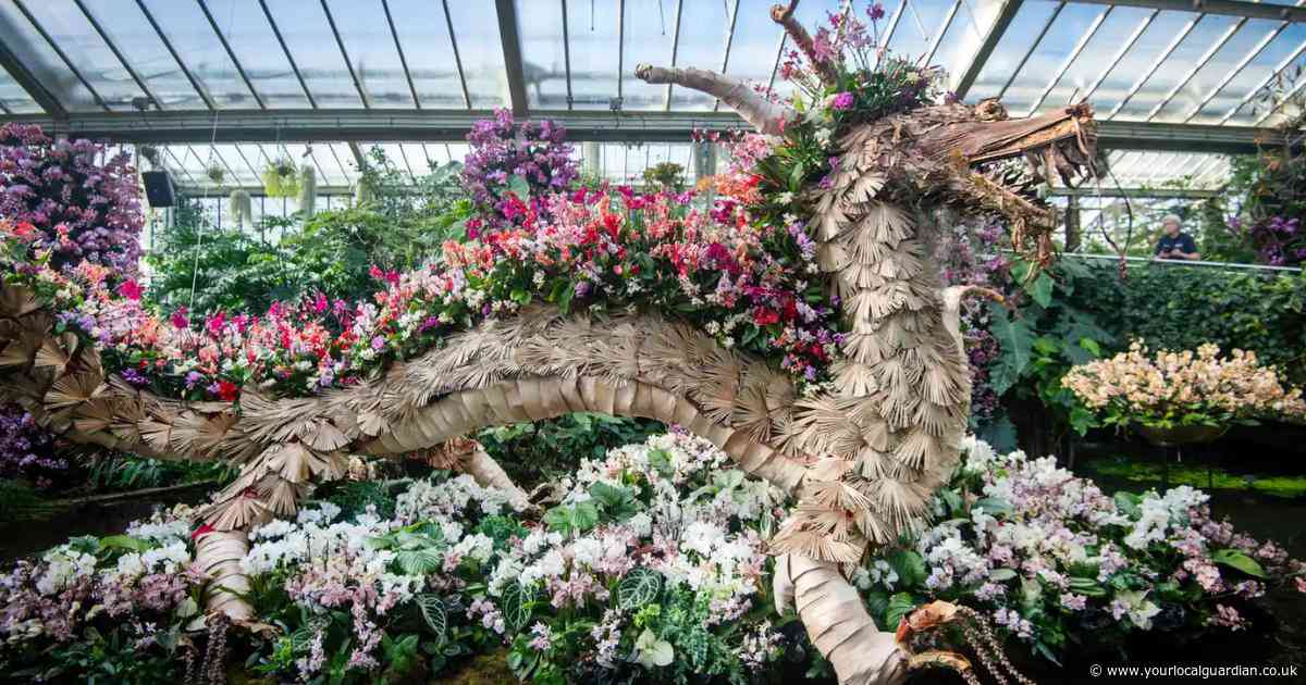 Kew Gardens' orchid festival returns with giant anacondas and Amazon display