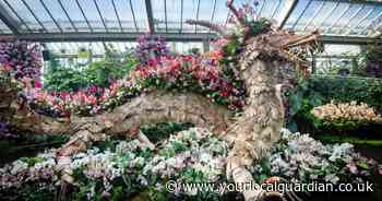 Kew Gardens' orchid festival returns with giant anacondas and Amazon display