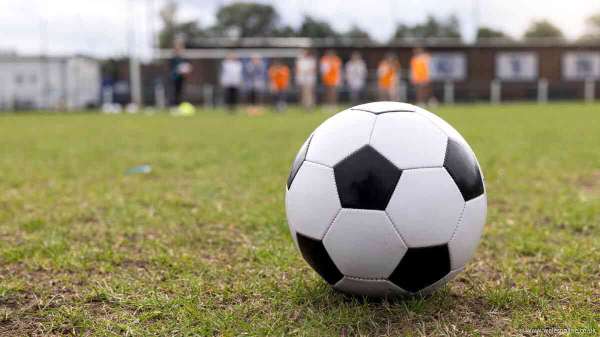 McDonald's commits to four more years of free grassroots football for children