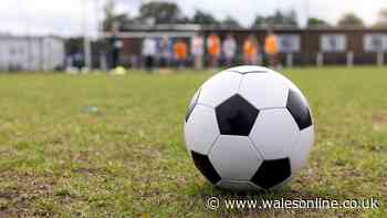 McDonald's commits to four more years of free grassroots football for children