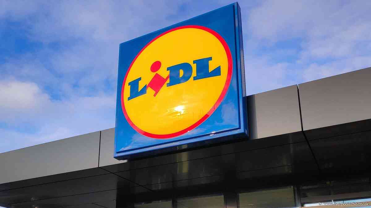 Light up homes with Lidl 'less-than-1p-per-hour' gadget like £49 and £105 options