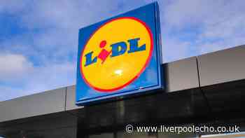 Light up homes with Lidl 'less-than-1p-per-hour' gadget like £49 and £105 options