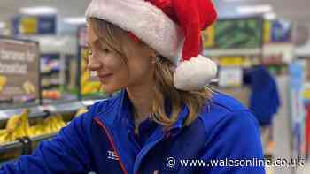 Tesco to hire 28,000 extra Christmas staff