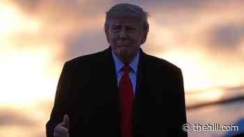 Trump: 'Massive' oil, gas, mineral exploration set to begin in Greenland