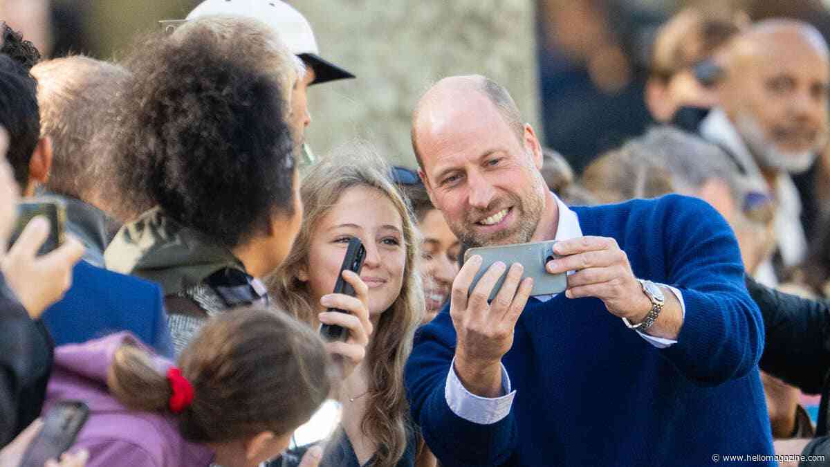 Overzealous fan breaks protocol during hands-on selfie with Prince William