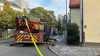 Zwei Katzen sterben bei Zimmerbrand in München
