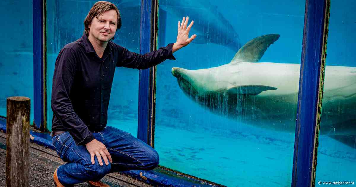 Kabinet wil af van dolfijnen in Nederland, maar het Dolfinarium legt zich er niet bij neer