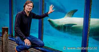 Kabinet wil af van dolfijnen in Nederland, maar het Dolfinarium legt zich er niet bij neer
