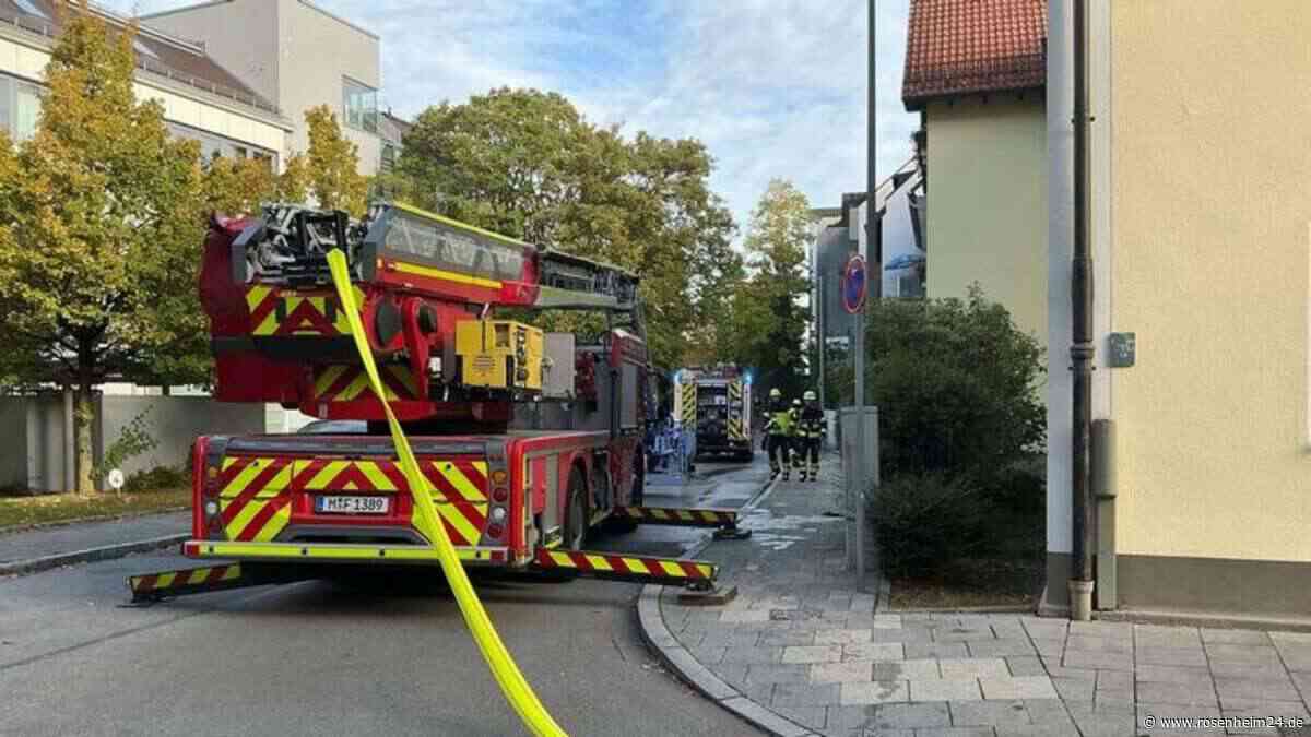 Zwei Katzen sterben bei Zimmerbrand in München